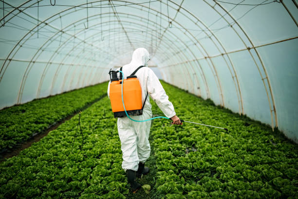 Reliable Boyd, TX Pest Control Solutions