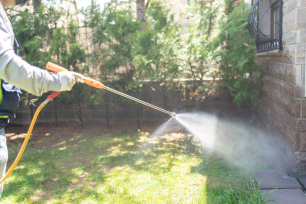 Best Best Pest Control Companies  in Boyd, TX