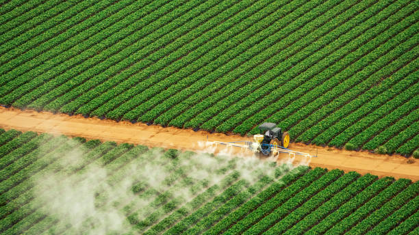 Pest Prevention Services in Boyd, TX