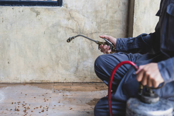 Best Pest Inspection Near Me  in Boyd, TX